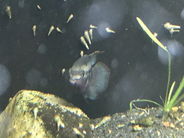 IMG_0201.jpg IMG_0201.jpg