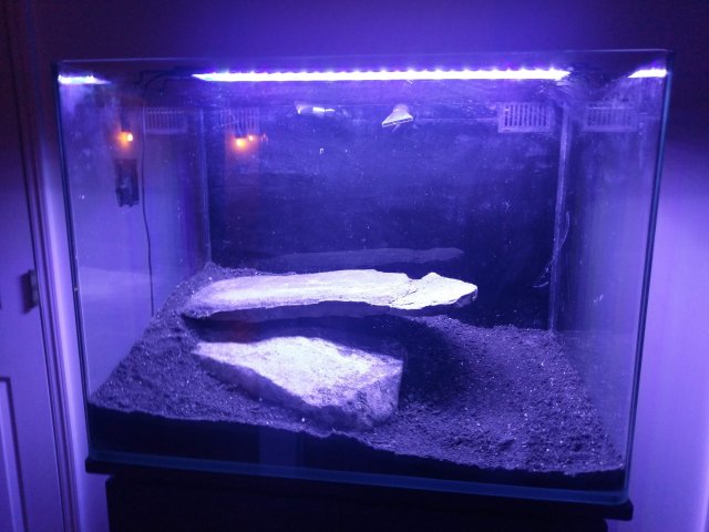 IMAG2135.jpg