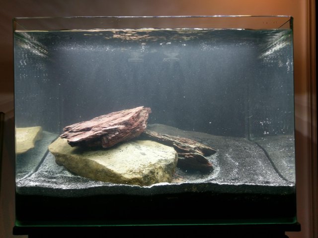 IMAG2211.jpg