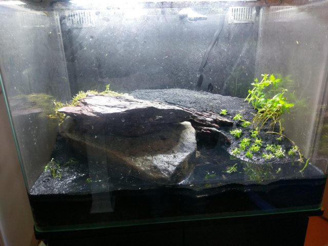 IMAG2438.jpg
