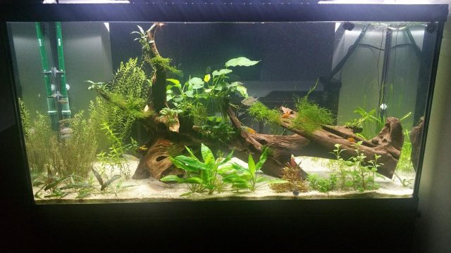 aquarium.jpg