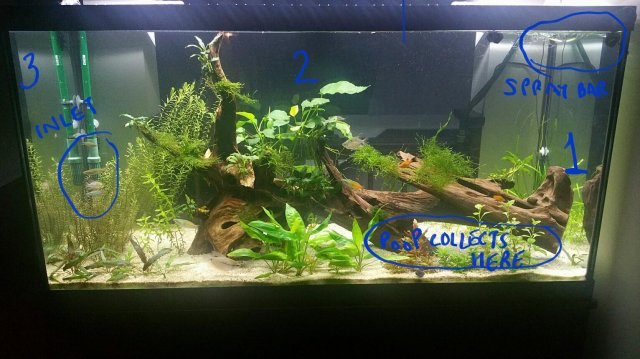aquarium2.jpg
