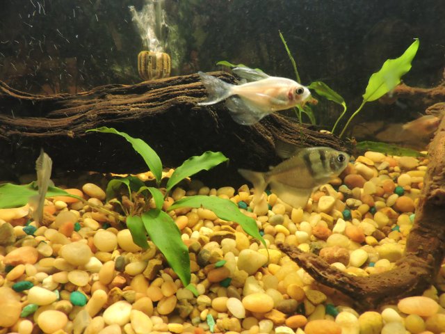 DSCN2519.JPG