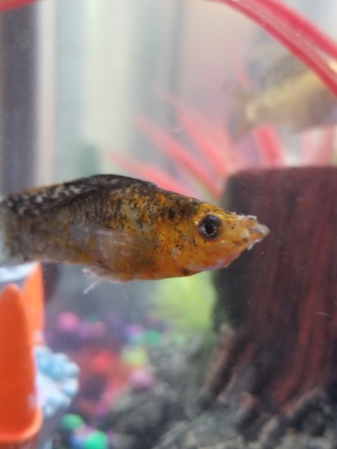 20180908_222223.jpg