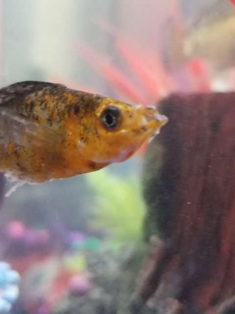 20180908_222219.jpg