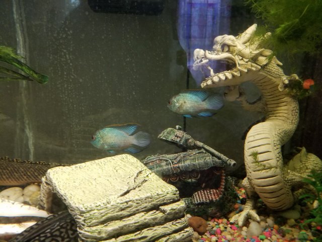 20180910_162135.jpg 20180910_162135.jpg