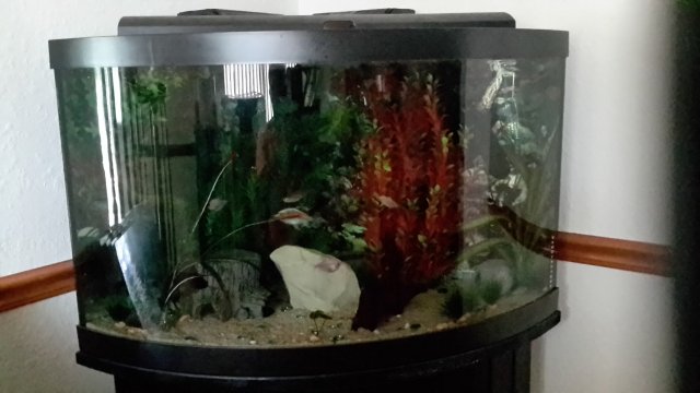 20181010_112132.jpg