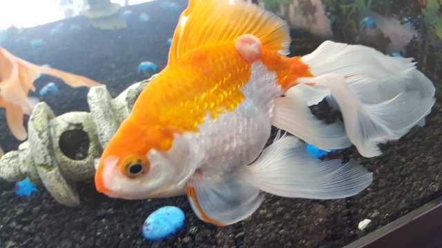 20181018_141922.jpg