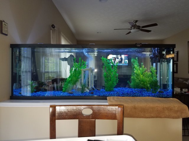 20181009_155752.jpg