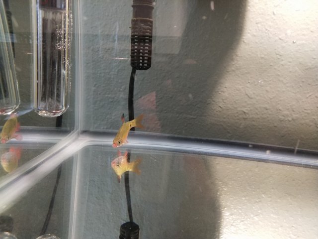 IMG_20181114_100217.jpg IMG_20181114_100217.jpg