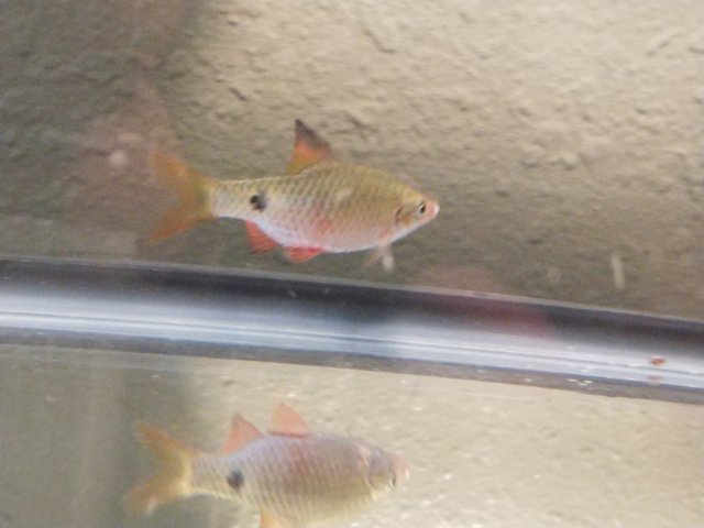 IMG_20181114_100313.jpg IMG_20181114_100313.jpg