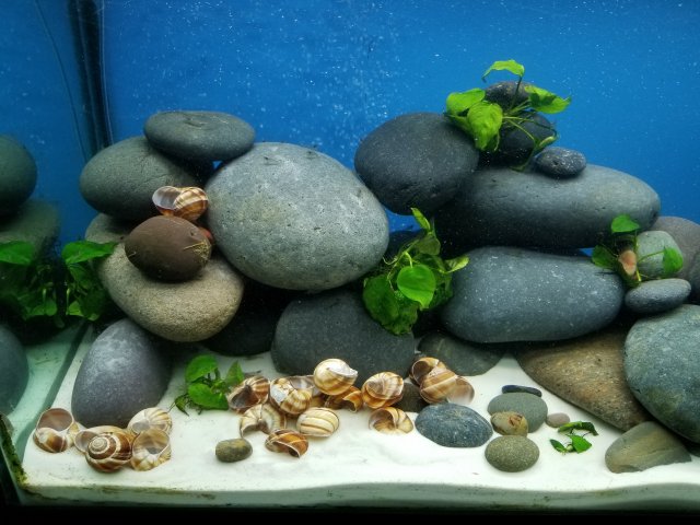 20181115_061518.jpg