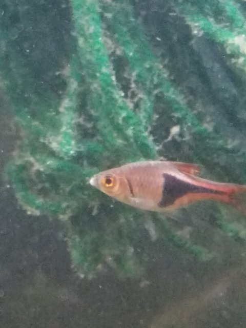 20181207_144915.jpg