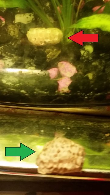 20190115_075041.jpg