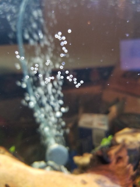 15491554535951182114064352795631.jpg