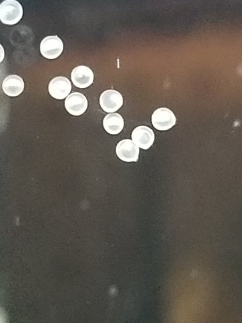 15491554781745104326137361167025.jpg