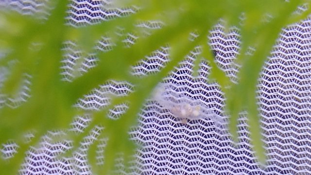 20190212_080046.jpg