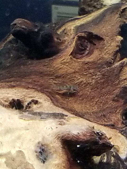 20190212_211650.jpg
