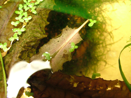 DSCF944700.jpg