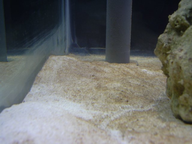 new tank 029.jpg