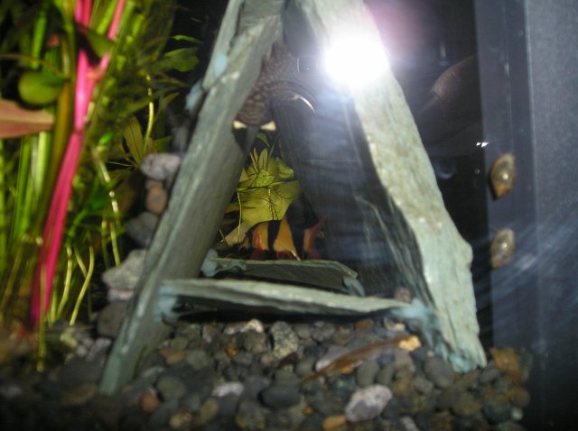 P5232655.JPG