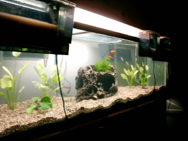PICT0064.JPG