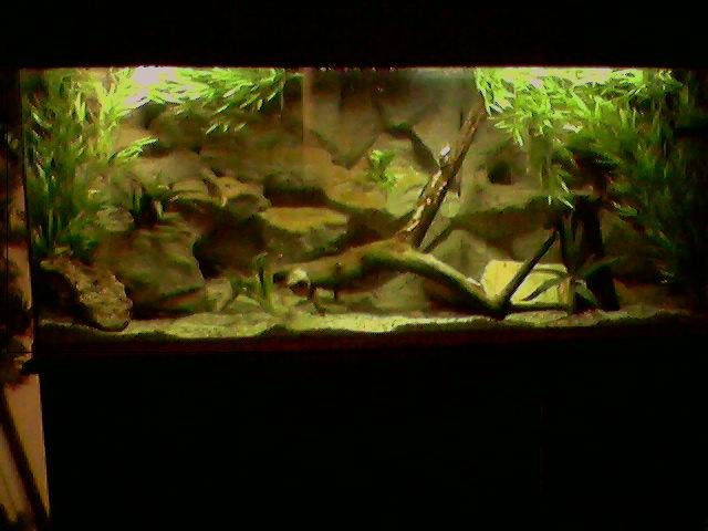 100 gallon.JPG