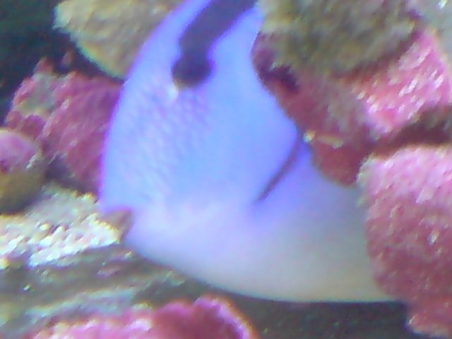 DSC00099.jpg