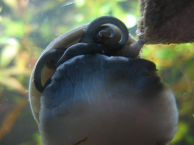 IMG_0025.JPG