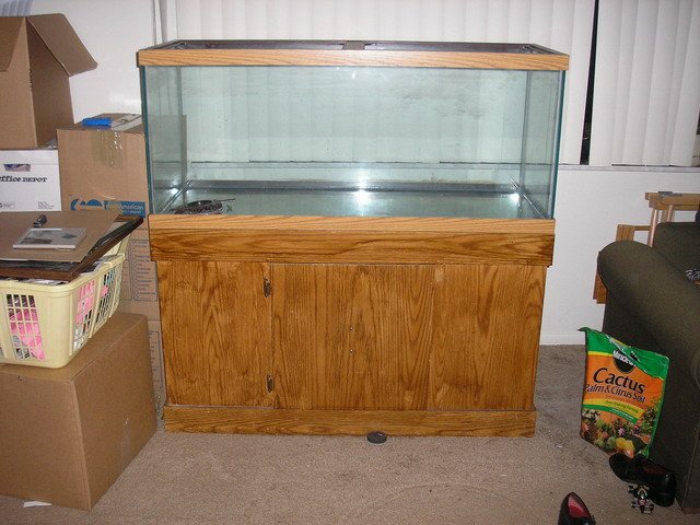 Tank Pic.jpg