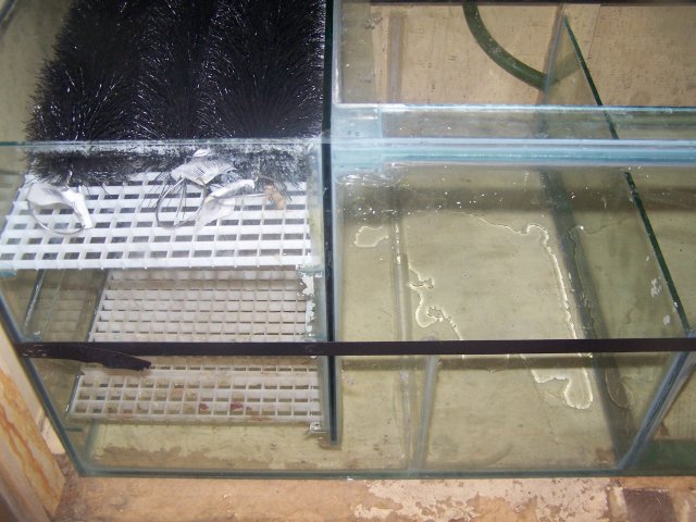 006.JPG 006.JPG