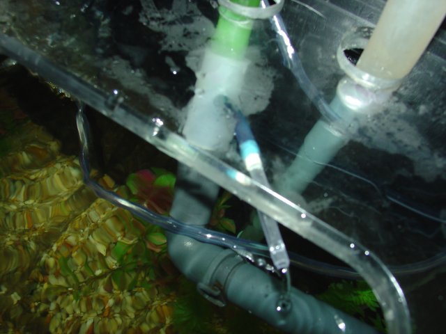06-18-2007 010.jpg