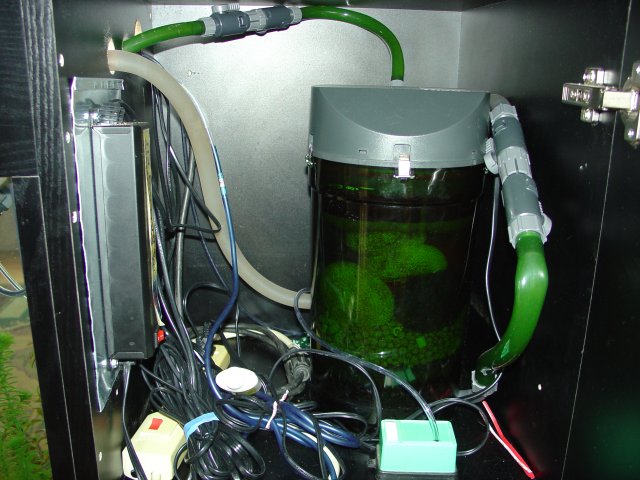 06-18-2007 007.jpg