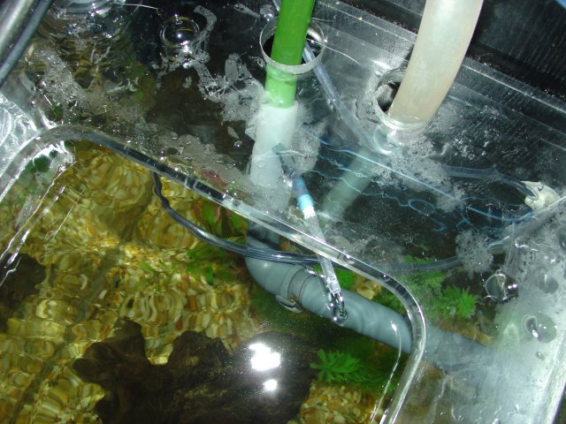 06-18-2007 009.jpg