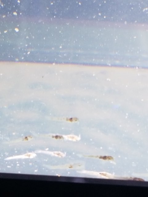 20190226_211726.jpg