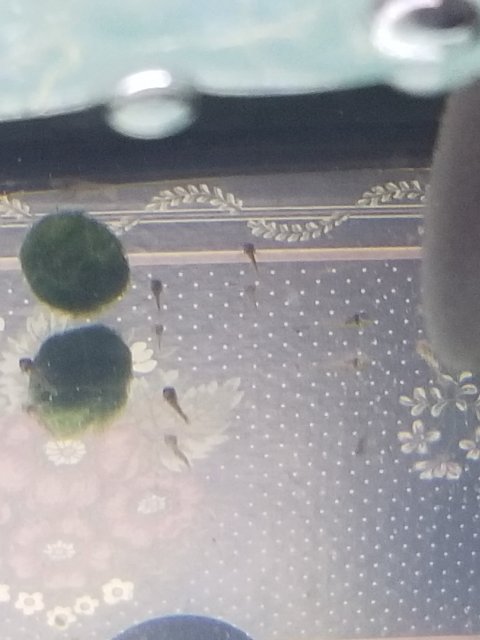 20190226_211721.jpg