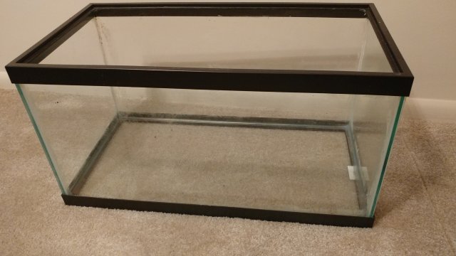 20190125_181702.jpg