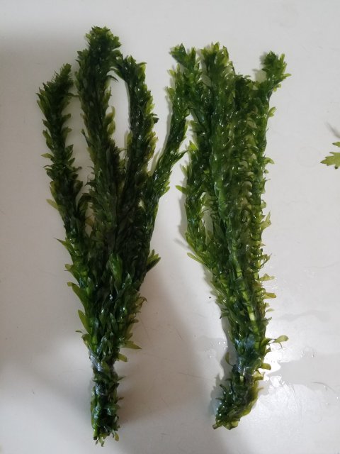 20190328_140211.jpg 20190328_140211.jpg