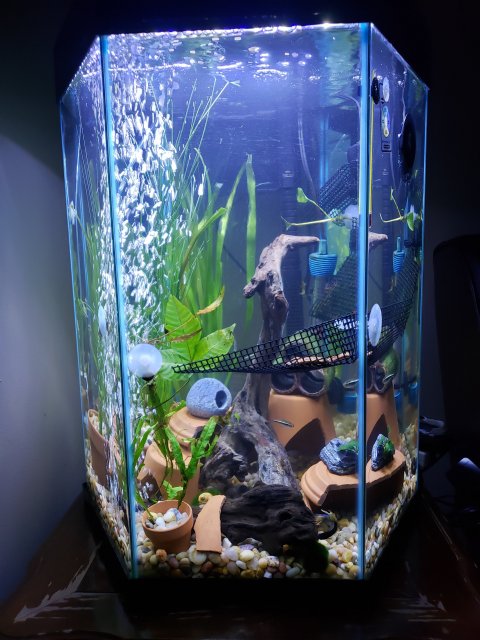 20190405_224130.jpg