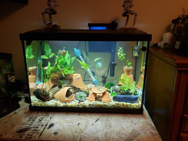 20190402_000757.jpg