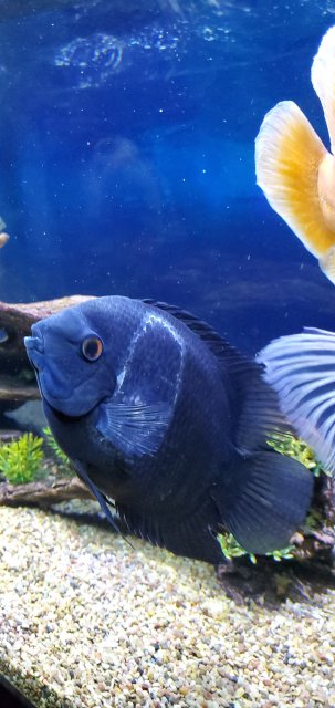 20190409_184236.jpg