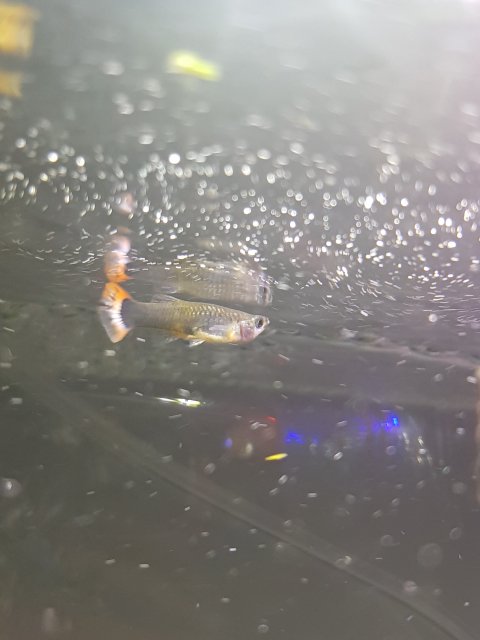 20190512_203810.jpg