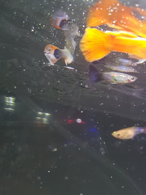 20190512_203751.jpg