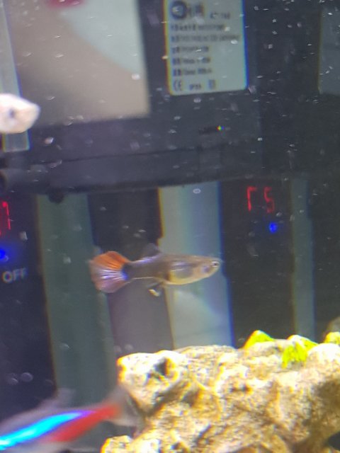 20190512_203739.jpg
