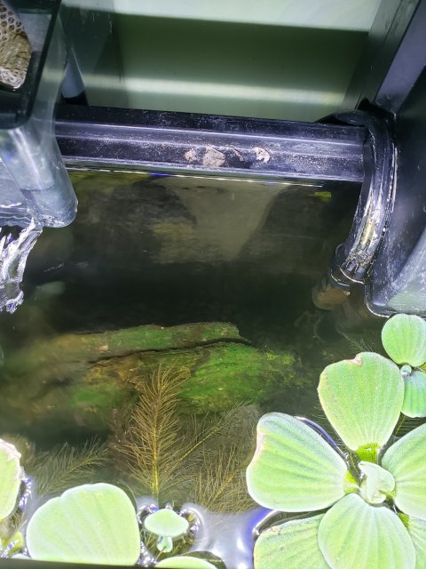 20190514_220152.jpg