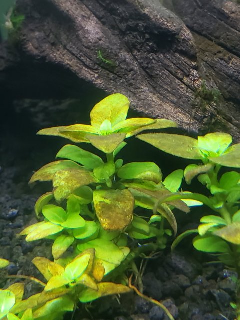 20190514_220111.jpg