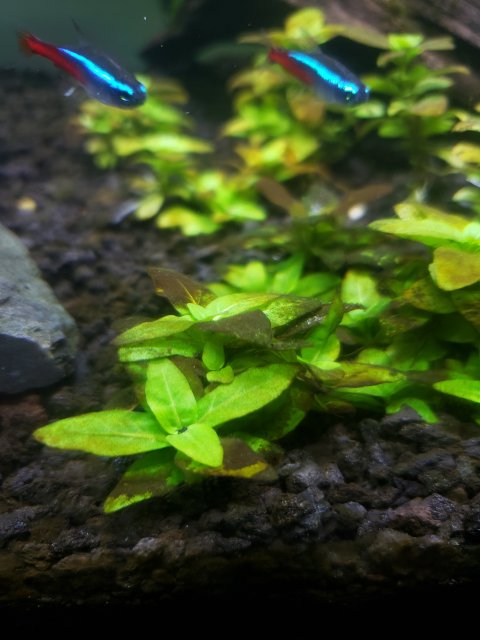20190514_220057.jpg