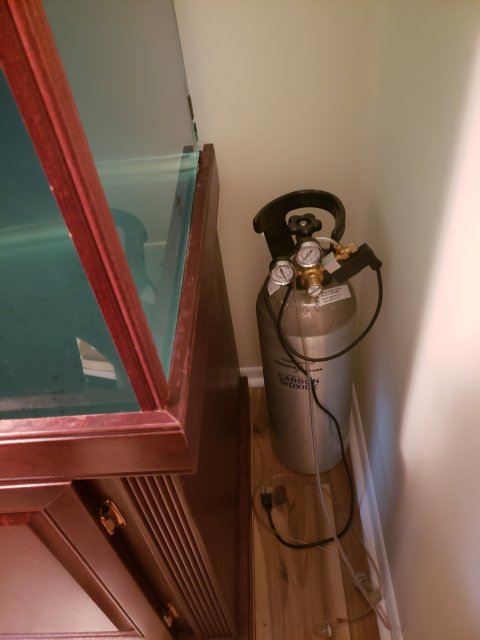 20190515_233854.jpg 20190515_233854.jpg
