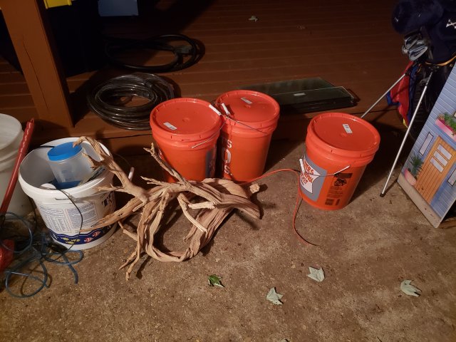 20190515_233934.jpg
