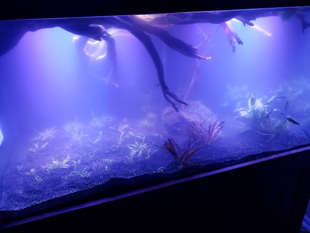 20190516_213204.jpg